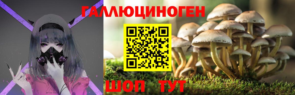 Псилоцибиновые грибы мицелий  Вход с VPN  Калуга  Галлюциногенные грибы Magic Shrooms 