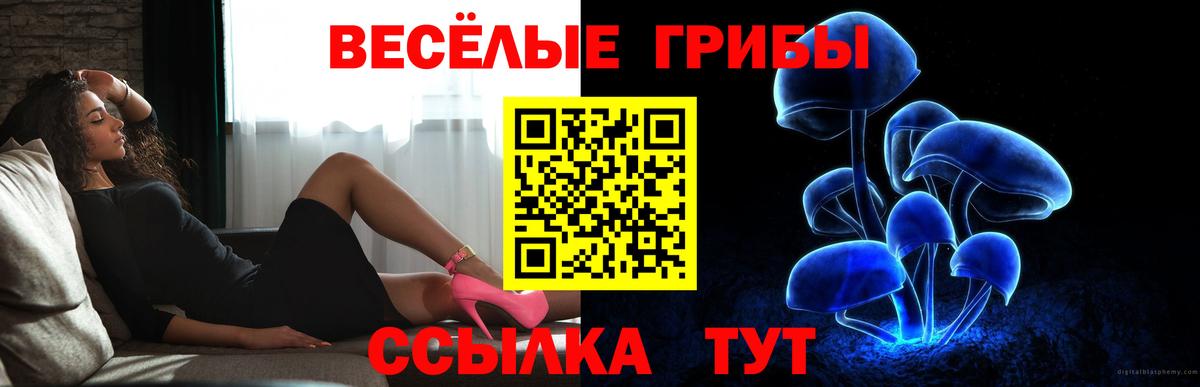 Галлюциногенные грибы мицелий Калуга